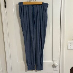 American Eagle Blue Lounge Pants